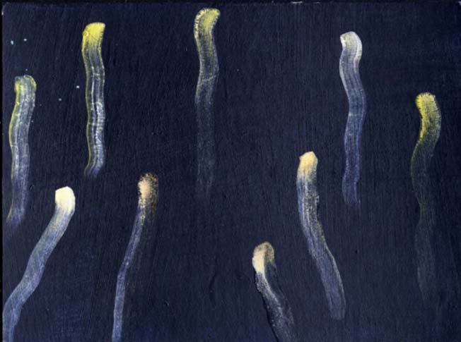 muster_1